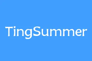 TingSummer