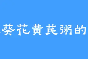 爱吃葵花黄芪粥的金震