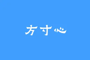 方寸心
