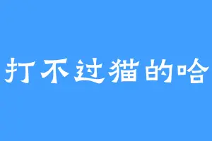 打不过猫的哈