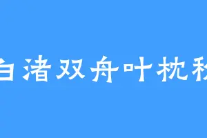白渚双舟叶枕秋