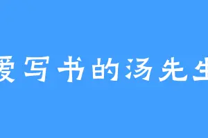爱写书的汤先生