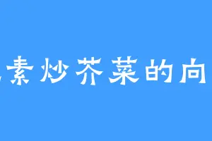 爱吃素炒芥菜的向江辰