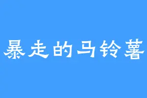 暴走的马铃薯