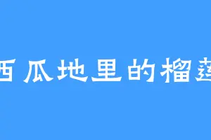 西瓜地里的榴莲