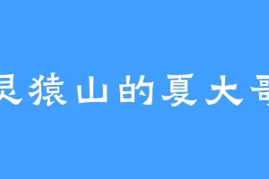 灵猿山的夏大哥
