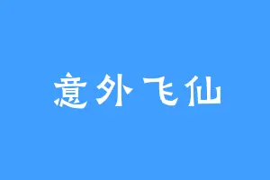 意外飞仙