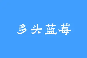 多头蓝莓