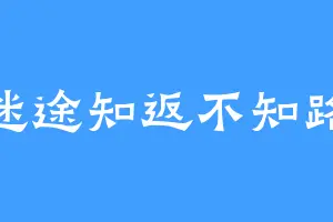 迷途知返不知路