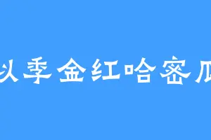似季金红哈密瓜