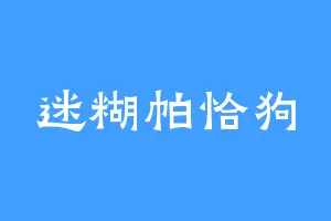 迷糊帕恰狗
