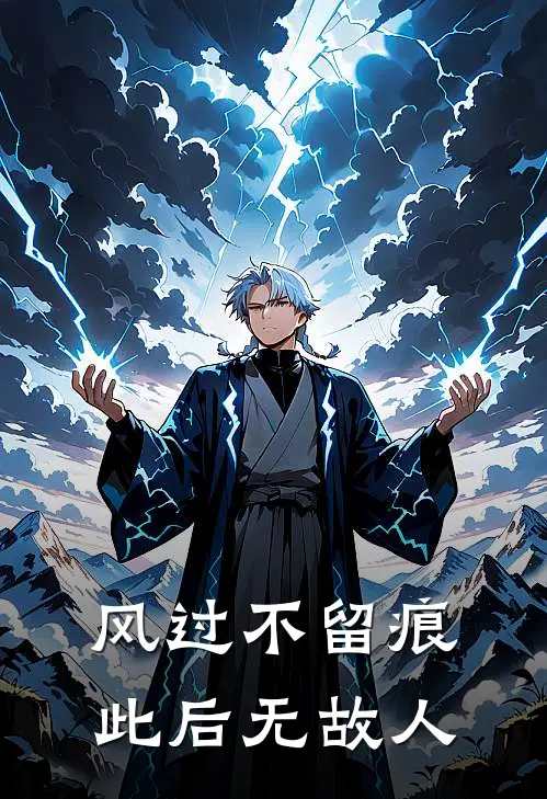 风过不留痕，此后无故人