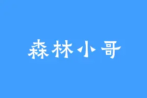 森林小哥