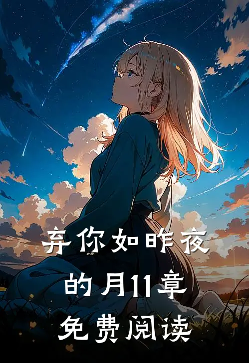 弃你如昨夜的月11章免费阅读