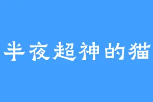 半夜超神的猫