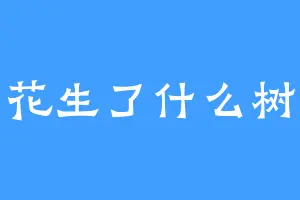 花生了什么树