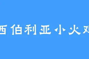 西伯利亚小火鸡