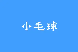 小毛球