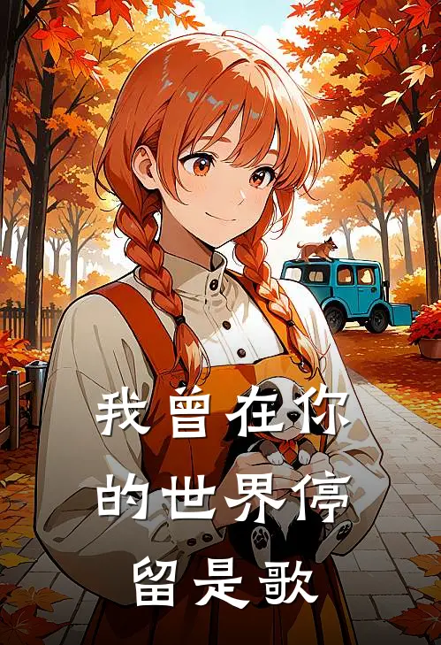 我曾在你的世界停留是歌