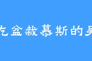爱吃盆栽慕斯的吴涛