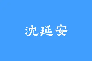 沈延安