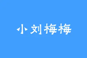 小刘梅梅