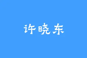 许晓东